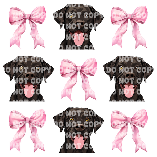 Chocolate Lab Coquette